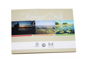 Buy cheap Promotional Video Brochure Card with Magnetic switch , ON / OFF button switch product