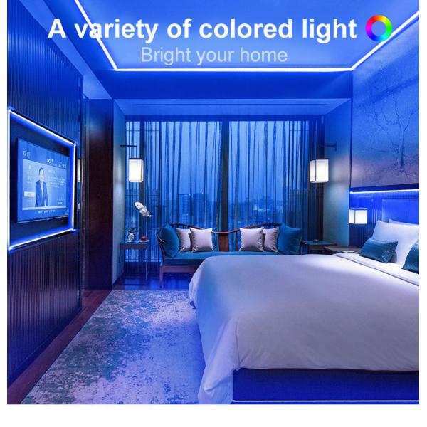 AC 220V 110V 240LEDs COB LED Strip Lights 8mm CE ROHS Flexible