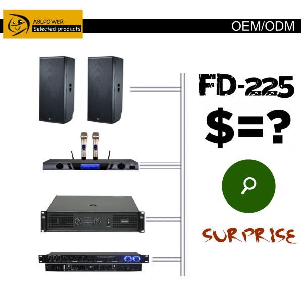 OEM 1000W Karaoke Amplifier Speaker System With Microphone Set