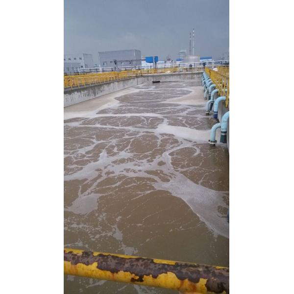 ISO Cation Polyacrylamide PAM for industry sludge dewatering