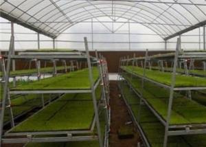 Buy cheap Custom Shaped Glass Seedling Greenhouse / Nursery Bed Breeding / Movable Seedbed product