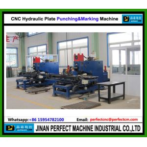 China TOP Supplier CNC Hydraulic Plate Punching Press Tower Manufacturing