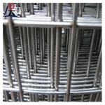 Galvanized Welded Wire Mesh Fence Roll 2x2 Fine Wire Diameter