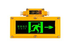 Buy cheap Automatic Lighting Explosion Proof Emergency Light 0.3S Emergency Start product