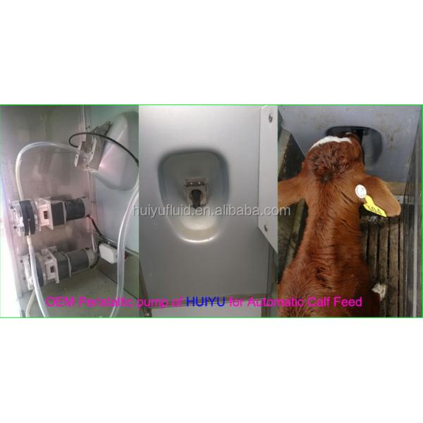 DC stepper motor 12v 24v AC220v 110v water treatment chemical reagent dosing calf feed self priming ODM OEM peristaltic pump