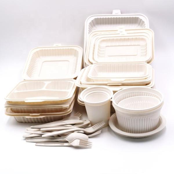 650ml Biodegradable Disposable Cutlery 22oz With Lid Lunch Box