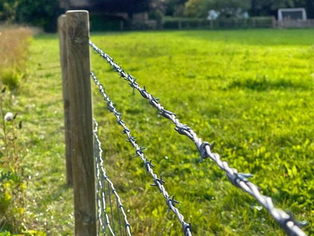 Newest Design Top Quality Electro Galvanized Barbed Wire Anti-climbing Barrier Barbed Wire Use For Protection