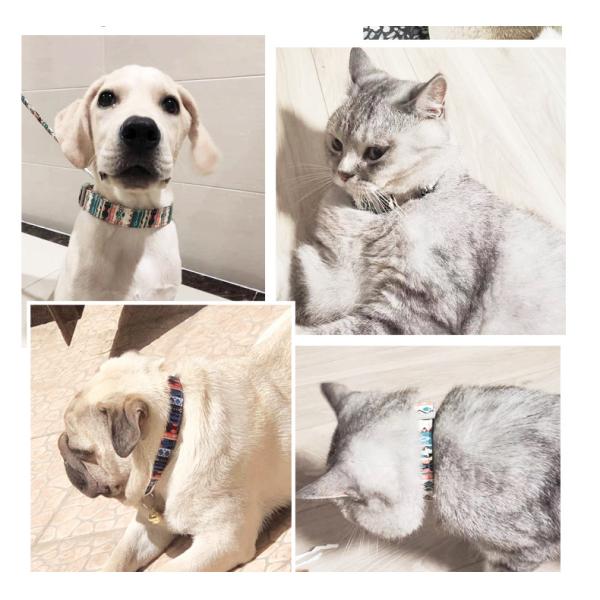 Floral Pattern Smart Dog Collar Small Medium Large Nylon Red Dog Collar