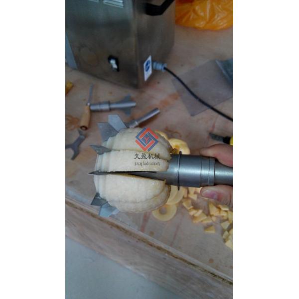 3 Kw Fruit And Vegetable Processing Equipment / Aloe Horseshoe Pineapple Orange Peeling Machine