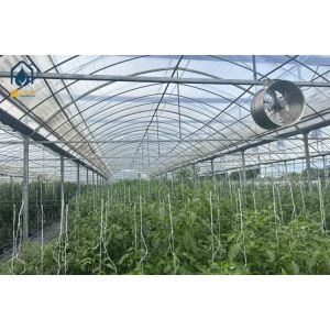 Multi Span Greenhouse Automated Hydroponic Greenhouse For Agriculture