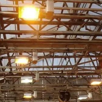 Lighting System for Container Greenhouses