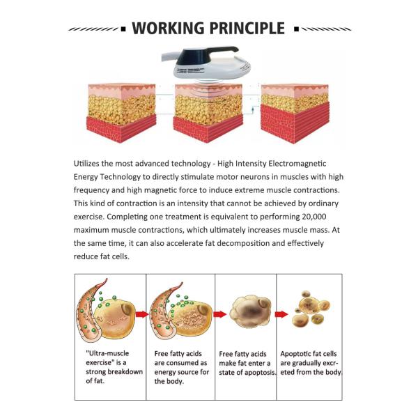 4 Handles Ems Tesla Muscle Stimulator Body Slimming Machine Air Cooling System