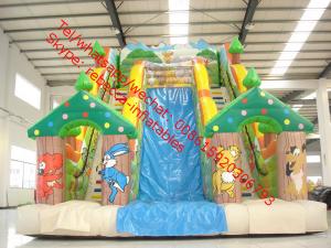 Buy cheap inflatable water slide clearance inflatable water slide for kids and adults product