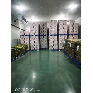 Tianjin LP Pet Food Ingredients Co.,Ltd