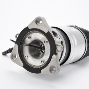 Air Strut For Audi A8 Rear Left 4E0616001N 4E0616001Q