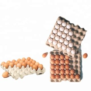 Free Moulding Pulp Egg Tray Machine Heavy Weight High Effective