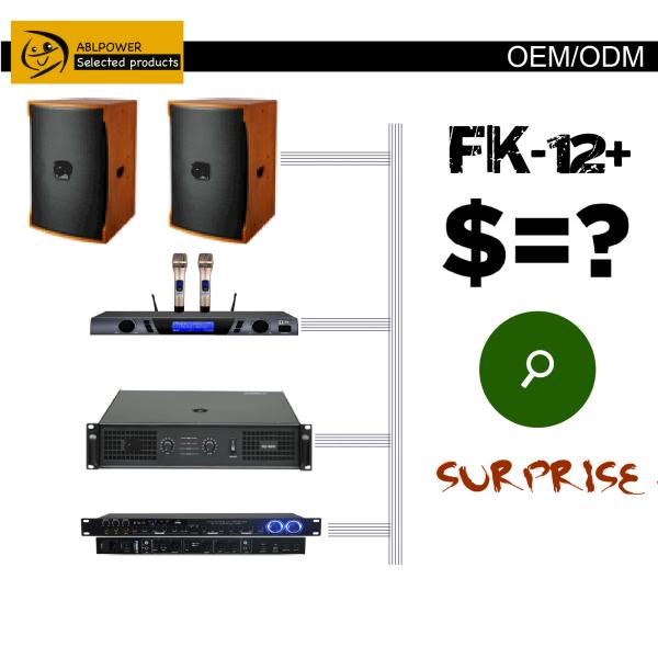 2 Channel Business VIP 500W Digital Karaoke Power Amplifier