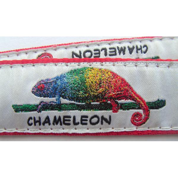 Multi Colored Heat Transfer Print Work Badge Lanyards , Custom Sublimation Lanyards