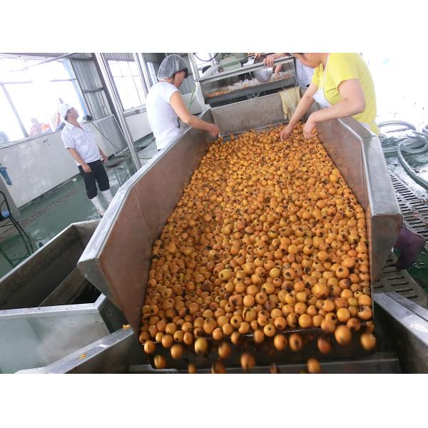 High Capacity Automatic Fruit Processing Line 1-100t/h High Accuracy