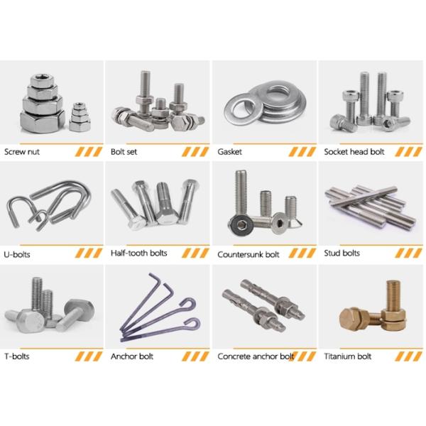 Thread Screw Manufacturer Custom M1 M6 Self Tapping Fasteners Screws