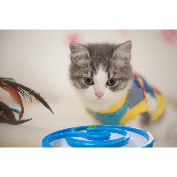 Pet Dish Cat Feeding Bowls R104 Toy Tracks Ball Sound Light With CE/ROHS Approval