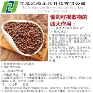 Buy cheap Grape Seed Extract Vitis Vinifera product