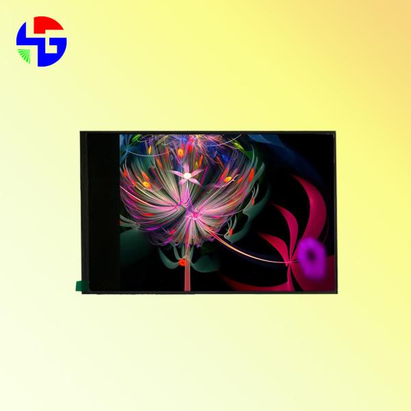 MIPI 31PIN 10.1 Inch TFT Display Full Angle View Resolution 800x1280 Standard LCD