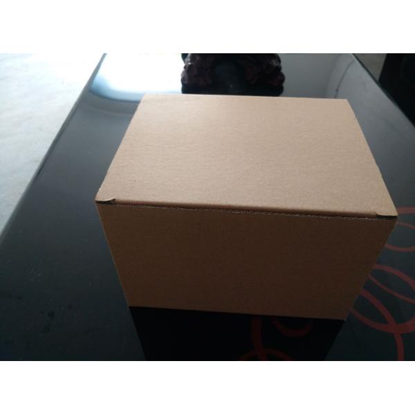 48pcs Different Prepared Plastic Microscope Slides for Homeschool Education