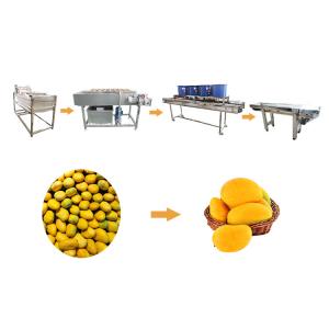Buy cheap Mango Vegetable Washing Machine Large Capital Fruit And Vegetable Cleaning Line product