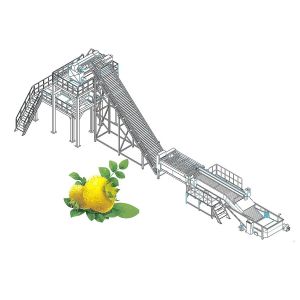 China 72Brix Concentrate Prickly Fruit Processing Line For Fruit Vegetable on sale