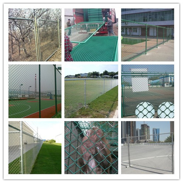 Galvanized 50X50mm 100X100mm Chain Link Fence