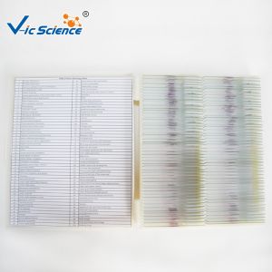 Biological Prepared Pathology Microscope Slides Medical Training Slides
