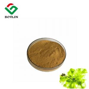 China Organic CAS 9005-32-7 Seaweed Polysaccharide Brown Powder Healthcare on sale