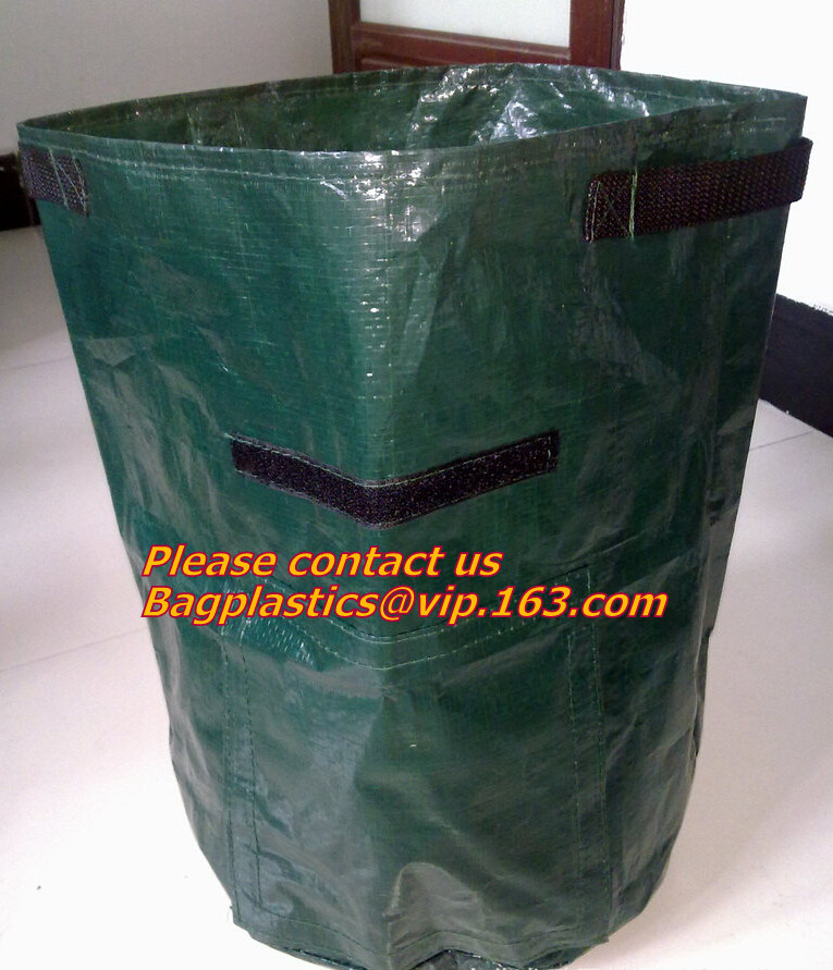 vegetables, fruits, seeds, bedding plants, tomatoes, peppers, cucumbers, tree