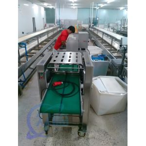 750W Practical Fish Skinning Machine Multiscene For Squid Peeling