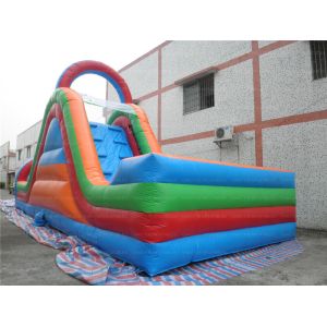Inflatable Playground with Giant Slide (CYFC-01)