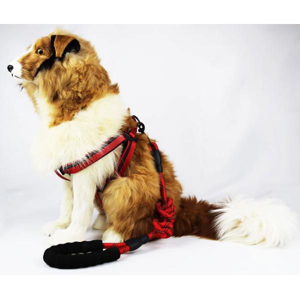 High Durable Adjustable No Pull Safety Pet Vest Training Daily Walking Medium And Large Dog Harness