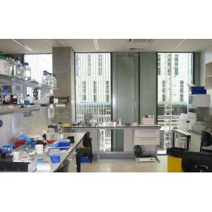 Skywell Composite Technology Co.,Ltd