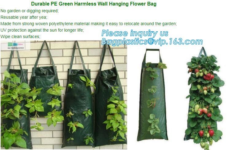 customized waterproof green pe car protector,environmental firendly, car boot liner, reusable, durable,economical,sample