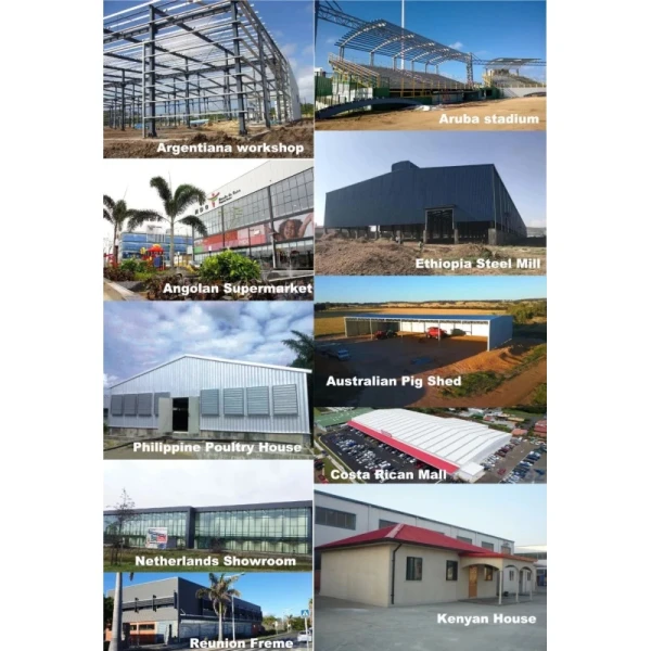Prefab Steel Warehouse Building with Painted Purlin Structure