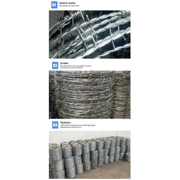 CE Certificate Barbed Wire Security Fence , Hot Dipped Galvanized Razor Wire