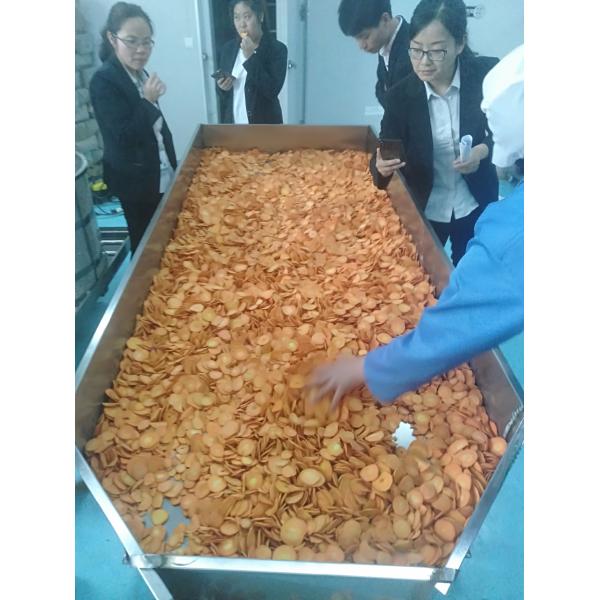 Continuous Type Vacuum Fried Chips Machine / Automatic Fryer Machine Durable