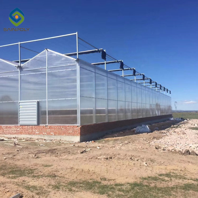 Buy cheap 12m Multi Span Clear Polycarbonate PC Sheet Greenhouse product