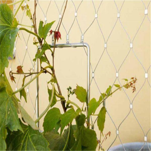 Buy cheap Plant Climbing Prop Stainless Steel Cable Webnet / Green Wall product