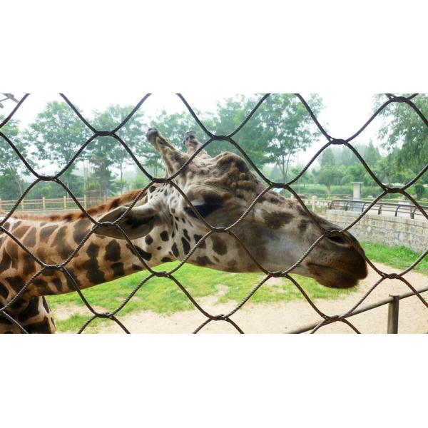 7×19 Stainless Steel Bird Aviary Zoo Mesh Impact Resistance