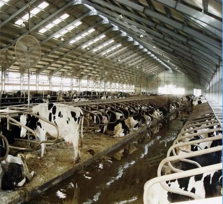 Sliding Door Goat Sheep Steel Structure Farmhouse for Wind Load 200 Km/h and Livestock