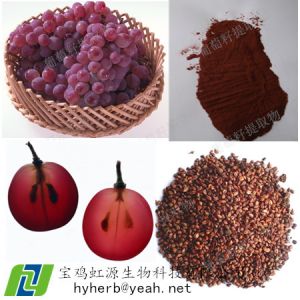 Best Grape Seed Extract OPC 95%