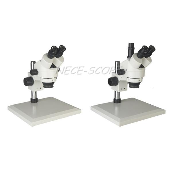 Interpupillary Distance Trinocular Compound Microscope Binocular Inclined At 45°