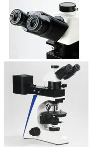 Buy cheap Reflecting Illumination Compound Light Microscope Polarizing Siedentopf Binocular Head product