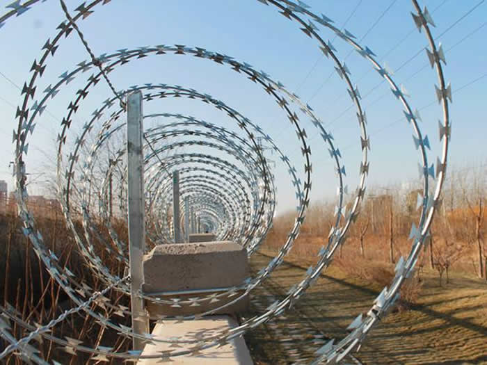 Professional manufacture promotion price Hot Dipped Galvanized Barbed Wire fast